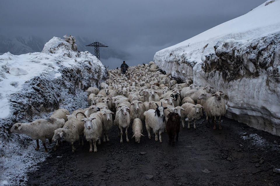 A foreign traveler offers a guide to trekking in Caucasus geotv.ge